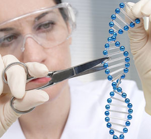Un pas en avant pour l’édition génétique : CRISPR-Cas9 et la MH