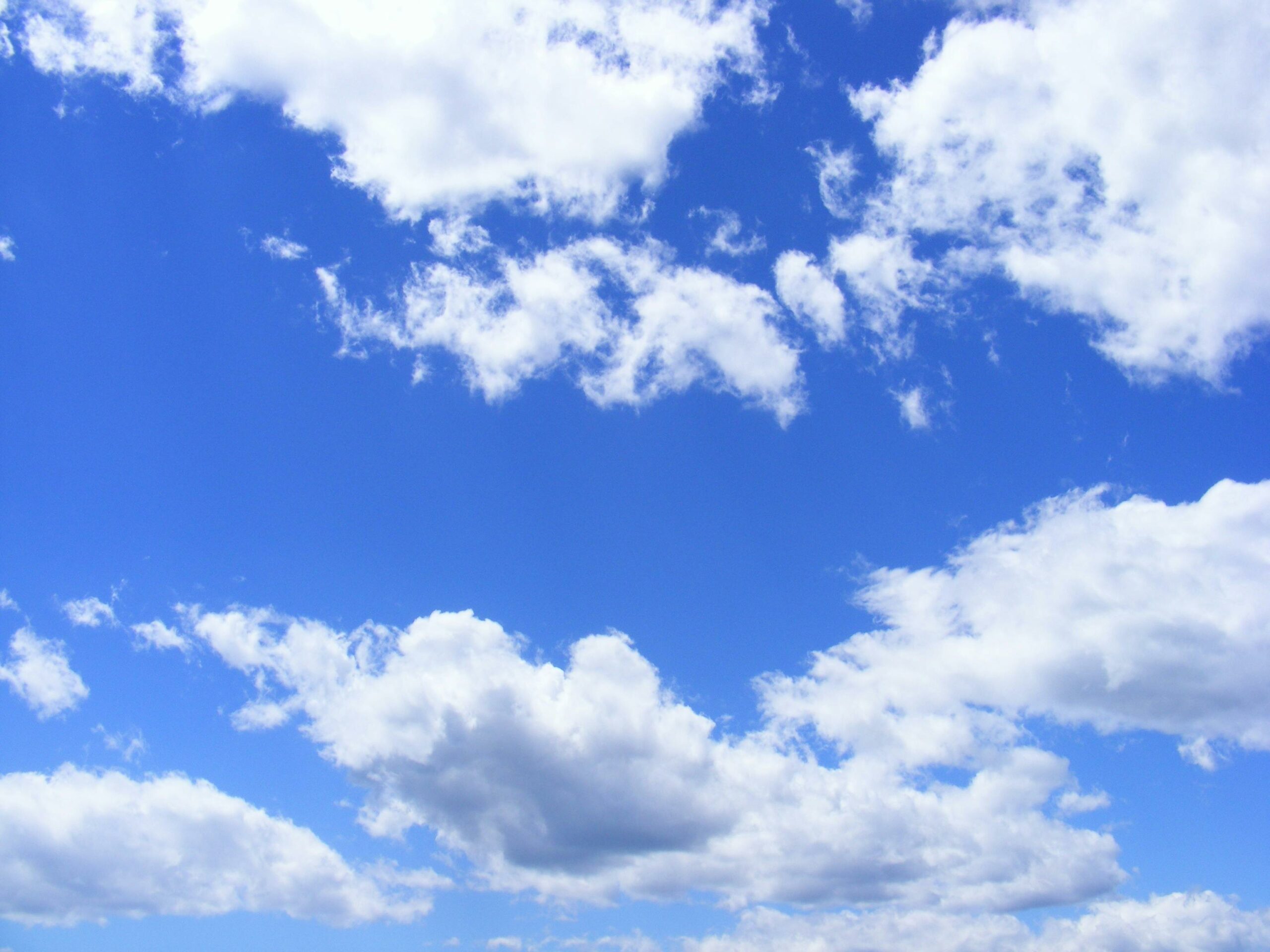 Ciel bleu pour Skyhawk : nouvelles positives de l’essai de Phase 1 pour SKY-0515